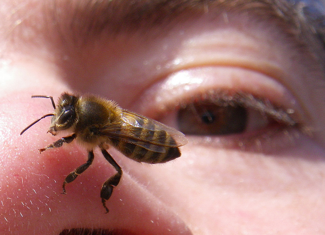 5535867554_9aa6aac14a_z